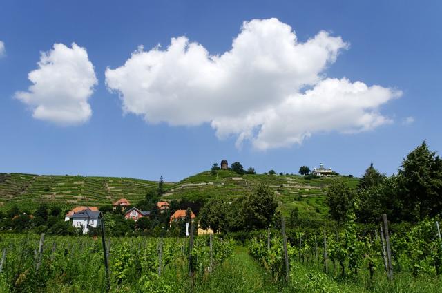 Radebeul - Thành phố triệu phú trên đồi nho ở Sachsen - 0