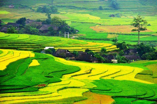 Truyền hình Quốc gia Đức làm chương trình giới thiệu đất nước, con người Việt Nam - 0