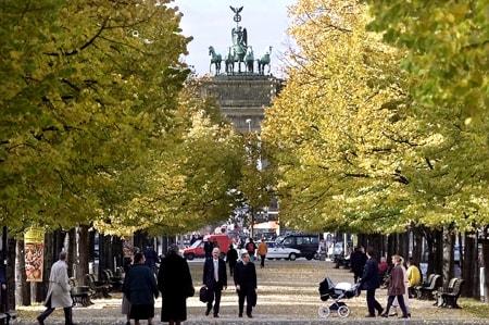 Những trải nghiệm miễn phí tại Berlin - 2