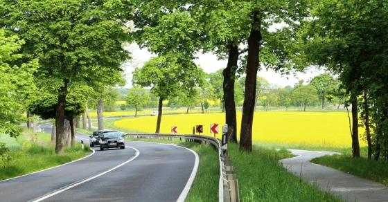 132 Content Dep Ngan Ngo Canh Dong Hoa Cai Vang Ruc O Ngoai O Nuoc Duc 1