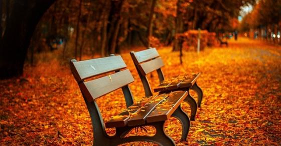 132 Content Bench 560435 640