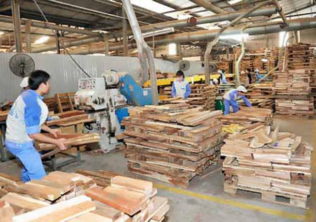 Xuất khẩu gỗ vào châu Âu nhiều triển vọng khả quan - 0