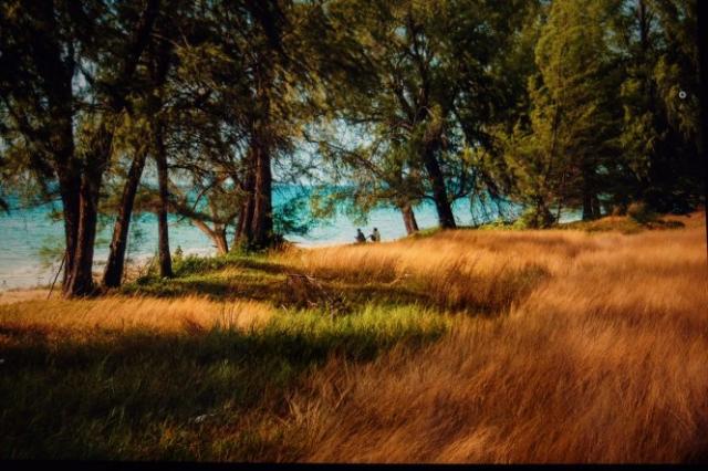 Bán ảnh du lịch để gây quỹ từ thiện cho trẻ bị xâm hại - 0 Bán ảnh du lịch để gây quỹ từ thiện cho trẻ bị xâm hại - 0