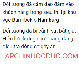 tan cong nguoi o hamburg duc