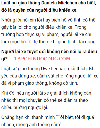 canh sat giao thong 1