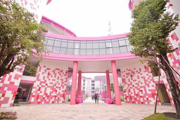 Cận cảnh ngôi trường toàn màu hồng, học phí nửa tỷ/năm ở Việt Nam - 0