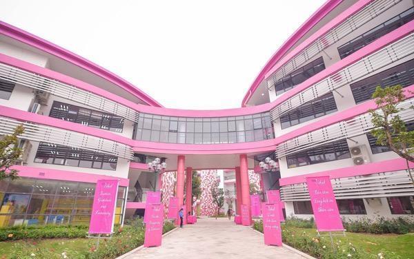 Cận cảnh ngôi trường toàn màu hồng, học phí nửa tỷ/năm ở Việt Nam - 1