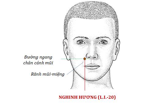 Cách trị ngạt mũi, sổ mũi không dùng thuốc, đơn giản và hiệu quả - 5