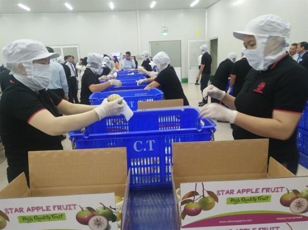 Lô vú sữa Việt Nam đầu tiên xuất khẩu sang Hoa Kỳ sắp “cất cánh” - 0