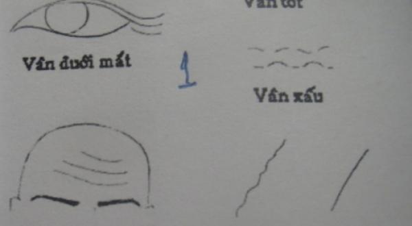 Đường vân tay và mặt, những dấu hiệu quan trọng về số phận con người - 0