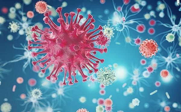 Điều chế thành công vắc-xin ngừa 124 chủng HIV - 1