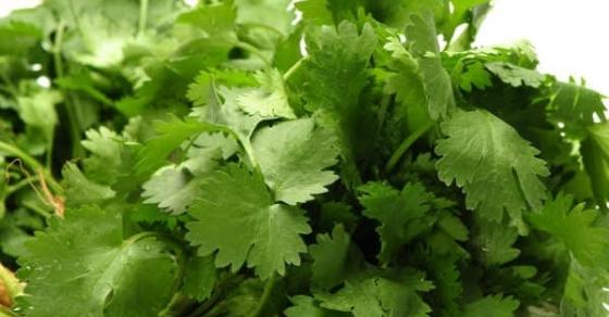 132 1 Cong Dung Chua Benh Tuyet Voi Cua 7 Loai Rau Thom Quen Thuoc