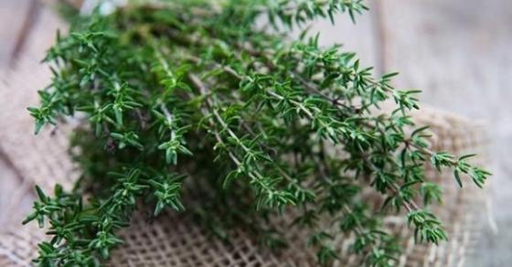 132 5 Cong Dung Chua Benh Tuyet Voi Cua 7 Loai Rau Thom Quen Thuoc