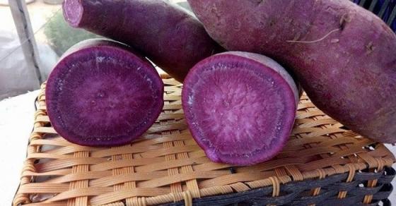 132 1 Thuc Pham Khien Te Bao Ung Thu Tu Huy Viet Nam Trong Rat Nhieu