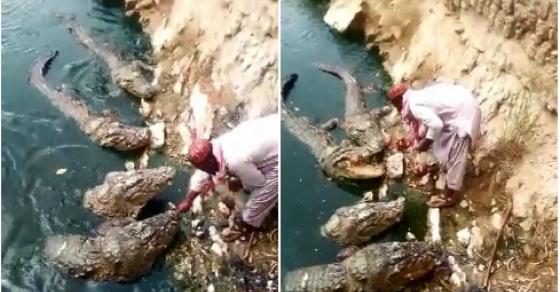 132 1 Viec Nhe Luong Cao Nhung Khong Phai Ai Cung Du Can Dam De Lam
