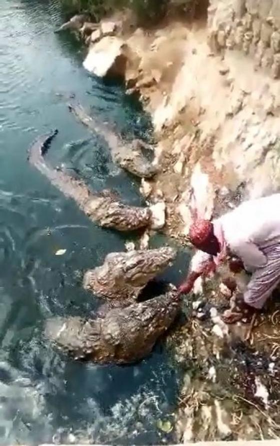 132 4 Viec Nhe Luong Cao Nhung Khong Phai Ai Cung Du Can Dam De Lam