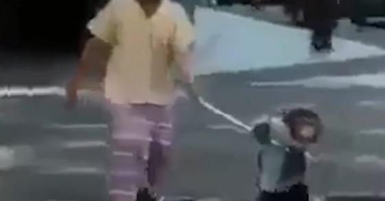 132 1 Nguoi Phu Nu Mu Muon Qua Duong Nhung Ca Pho Deu Lam Ngo Cho Den Khi 1 Chu Khi Xuat Hien