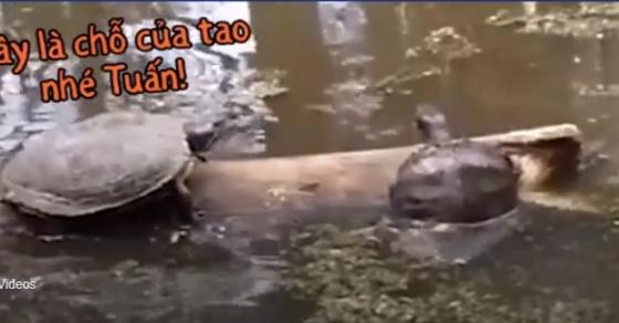 132 1 Khi Co May Dua Ban Nhiet Tinh Nhung An Hai Xem Ma Cuoi Dau Bung