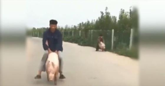 132 1 Khi Ban Muon Lam Racer Nhung Bo Me Lai Bat Di Chan Lon