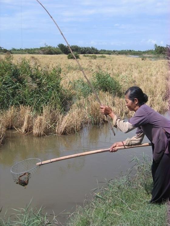 132 5 Nguoi Dan Ong Mang Ca Chep Ra Khe Cau 1 Lat Sau Cua Un Un Keo Den