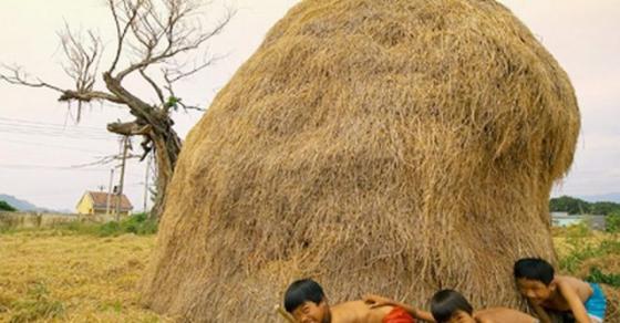 132 11 Viet Nam Trong Toi Tro Choi Dan Gian Truyen Thong Khung Troi Tuoi Tho Voi Ky Uc Dong Day