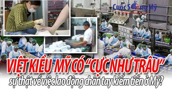 Việt kiều Mỹ cực như trâu như ngựa làm việc chân tay kiếm tiền?