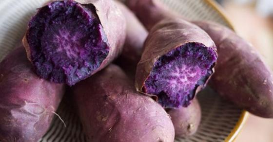 132 1 Than Duoc Khien Te Bao Ung Thu Tu Huy O Viet Nam Cuc Re Dau Cung Co Nhung Khong Phai Ai Cung Biet