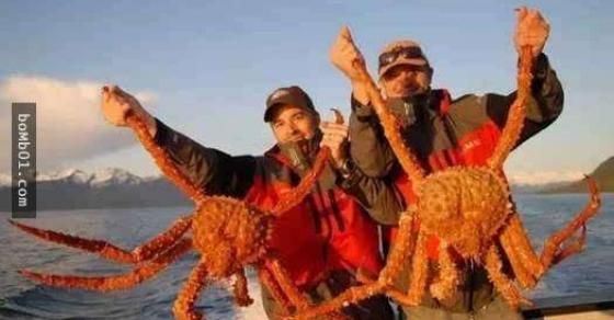 132 1 Nha Khoa Hoc Dau Dau Vi 1 Trieu Con Cua Vua Tan Pha He Sinh Thai Nam Cuc Dan Mang Trung Quoc Chung Toi Giup Ban An Moi Nguy Hiem Nay