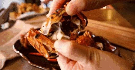 132 4 Nha Khoa Hoc Dau Dau Vi 1 Trieu Con Cua Vua Tan Pha He Sinh Thai Nam Cuc Dan Mang Trung Quoc Chung Toi Giup Ban An Moi Nguy Hiem Nay