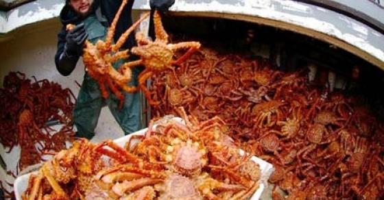 132 5 Nha Khoa Hoc Dau Dau Vi 1 Trieu Con Cua Vua Tan Pha He Sinh Thai Nam Cuc Dan Mang Trung Quoc Chung Toi Giup Ban An Moi Nguy Hiem Nay