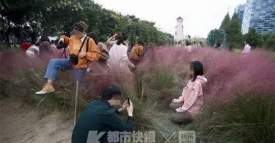 132 1 Khach Trung Quoc Tranh Cho Chup Anh Giam Nat Co Lau Hong Nhap Tu Uc Vuon Hoa Phai Dong Cua