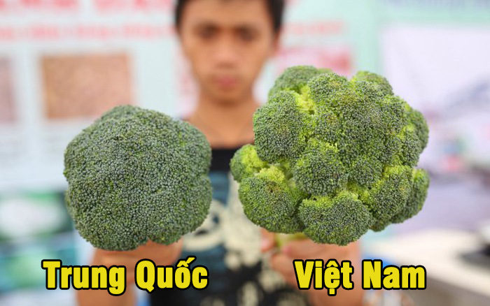 20 meo phan biet thuc pham trung quoc va viet nam ma nhung ba noi cho can luu y va bo tui ngay