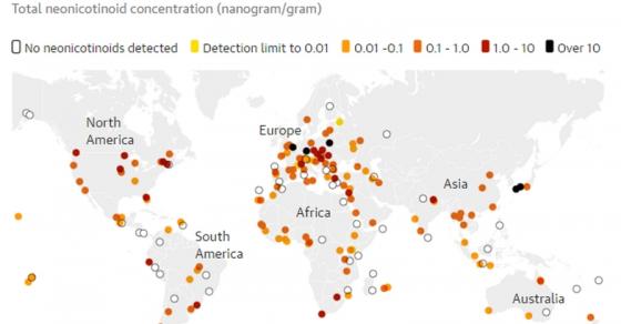 132 2 75 Mat Ong Duoc Lay Mau Tren The Gioi Bi Nhiem Thuoc Tru Sau