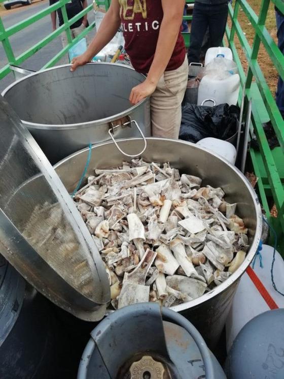 132 2 6 Nguoi Viet Nam Bi Bat Giu Khan Cap O Nam Phi Vi Co Y Dinh Nau Cao Su Tu