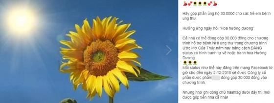 132 8 Su That Ve Viec Chia Se Hinh Hoa Huong Duong Ban Co That Su Giup Do Duoc Benh Nhi Ung Thu