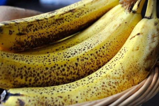 132 2 Ngua Tram Cam Ha Huyet Ap Chong Thieu Mau Nho Chuoi Trung Cuoc Ban Da Biet Chua