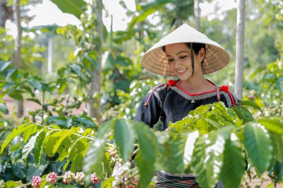 132 2 Hhen Nie Neu Khong Co Menh Hoa Hau Quoc Te Hay Co Mot Trai Tim Nu Hoang