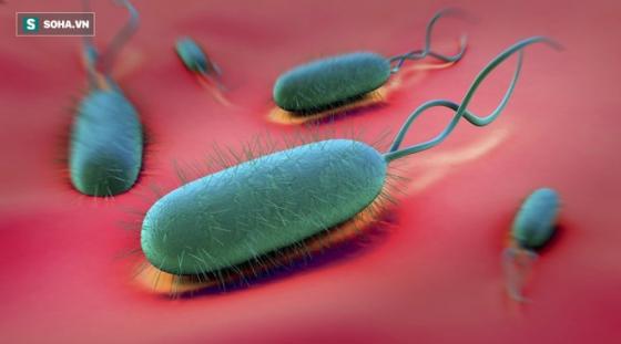 132 2 Ung Thu Da Day Co Ty Le Tu Vong Cao Lam Du 4 Viec De Som Ngan Chan Mam Benh Sinh Soi