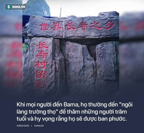 132 5 Ngoi Lang Truong Tho Noi Tieng Nguoi Gia Nuom Nuop Den Thue Nha De Song Phan Cuoi Doi