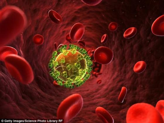 132 1 Tinh Co Phat Hien Co Che Vo Hieu Hoa Hiv