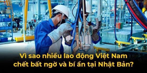 132 1 Thuc Tap Sinh Viet Nam Den Nhat Hoc Tap Va Lam Viec Ngay Cang Dong The Nhung Ngay Cang Co Nhieu Vu Thiet Mang Hoac Tu Sat Khong Ro Nguyen Nhan