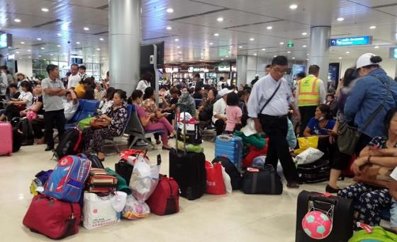 132 1 Chao Oi Cai Mac Viet Kieu Noi Lo Qua Cap Khi Ve Viet Nam