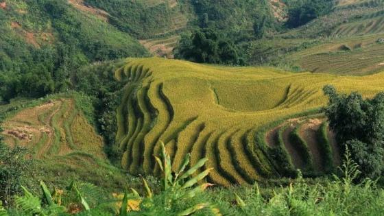 132 5 Truyen Hinh My Goi Y Nhung Noi Phai Den Khi O Viet Nam