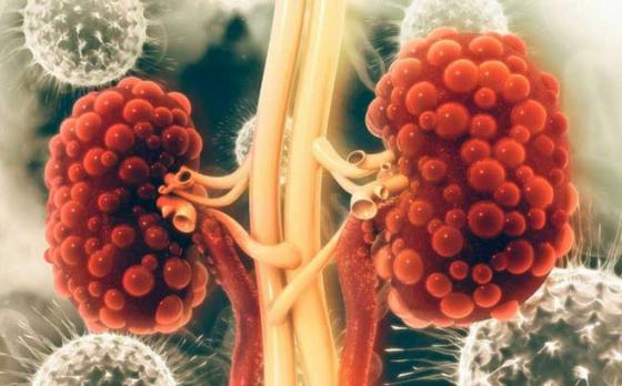 132 1 Than La Nha May Loc Nuoc Cua Co The Ai Muon Giu Than Khoe Manh Nen Lam 5 Viec