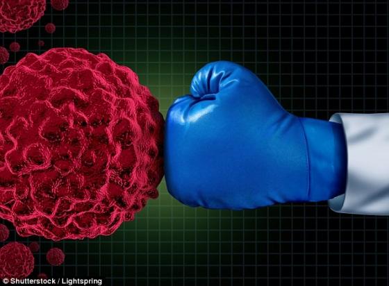 132 1 Vu Khi Danh Bai Ung Thu Nam Ngay Trong Chinh Co The Chung Ta