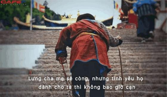 132 2 Ve Tham Cha Me Ngay Khi Co The Vi Tren Doi Chi Co 2 Thu Duy Nhat Khong Duoc Bo Lo 1 La Chuyen Xe Cuoi Cung De Tro Ve 2 La Nguoi That Long Yeu Thuong Ta