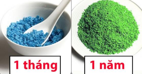 132 1 Nhung Hinh Anh Cho Thay Chung Ta Dang An Nhua Nhieu Nhu The Nao