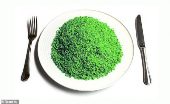 132 5 Nhung Hinh Anh Cho Thay Chung Ta Dang An Nhua Nhieu Nhu The Nao