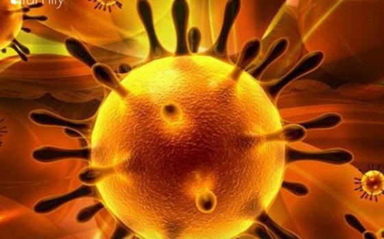 132 1 Virus Corona Moi Nhung Dieu Biet Va Chua Biet