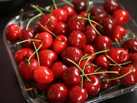 132 1 Su That Rung Minh Ve Nhung Thung Cherry My Ban Tran Lan Tren Mang Xh Viet Nam